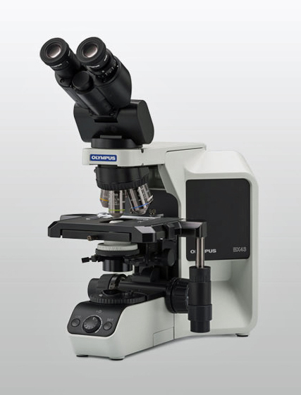 Olympus BX43 Microscope