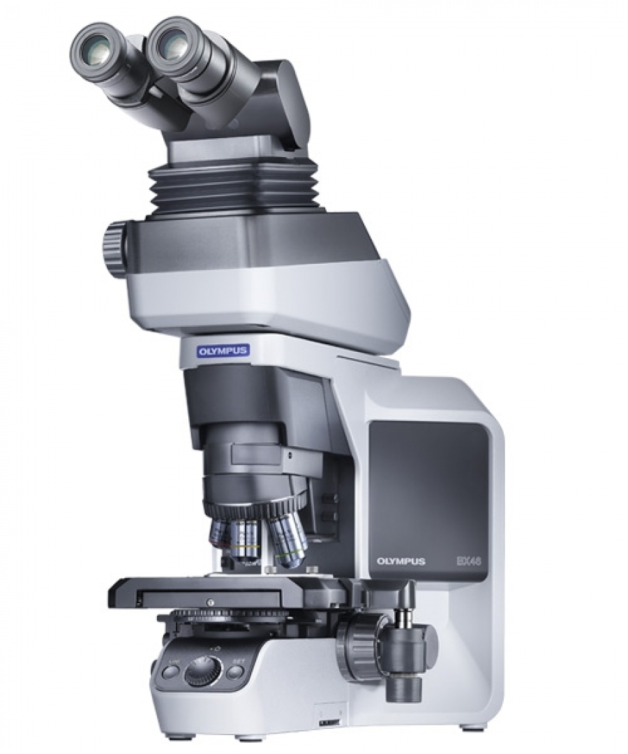 Olympus BX46 Microscope